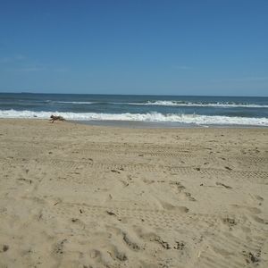 Meet your Posher, Becky